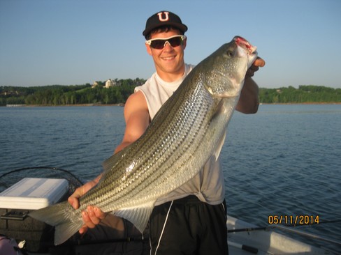 Nice Striped Bass